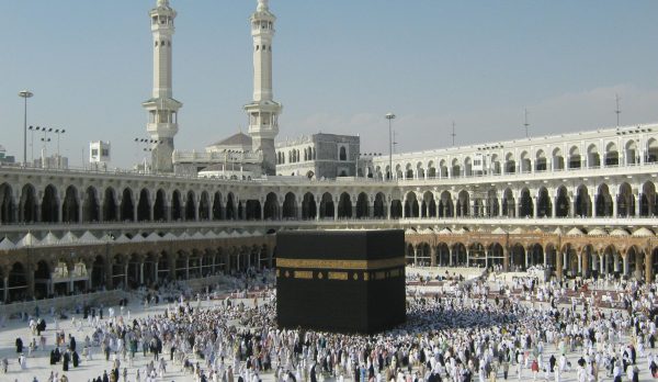 pexels-mustafa-fathy-3793631-5620451 pexels-mustafa-fathy-3793631-5620451