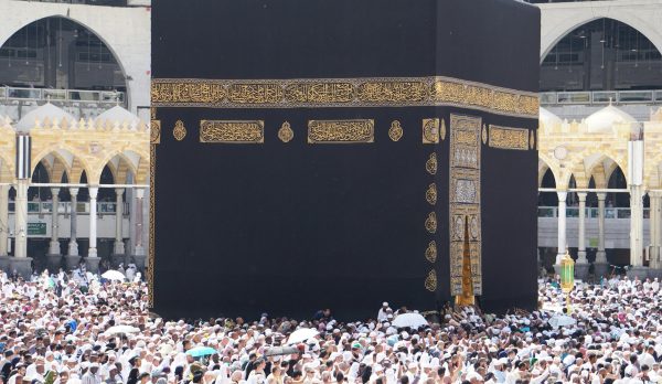 pexels-yasirgurbuz-11259831 pexels-yasirgurbuz-11259831